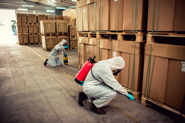 Best Exterminator Services  in Dupo, IL