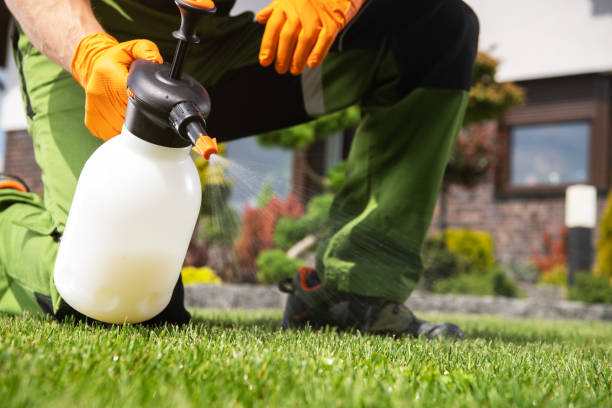 Best Flea Control Services  in Dupo, IL