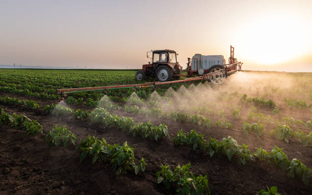 Best Best Pest Control Companies  in Dupo, IL