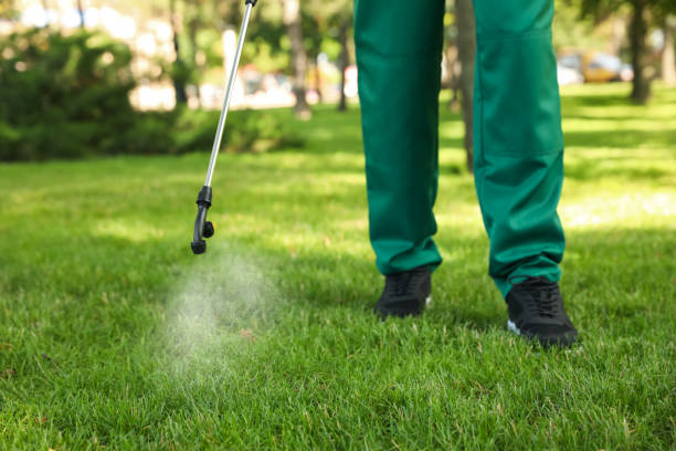 Best Pest Inspection Near Me  in Dupo, IL