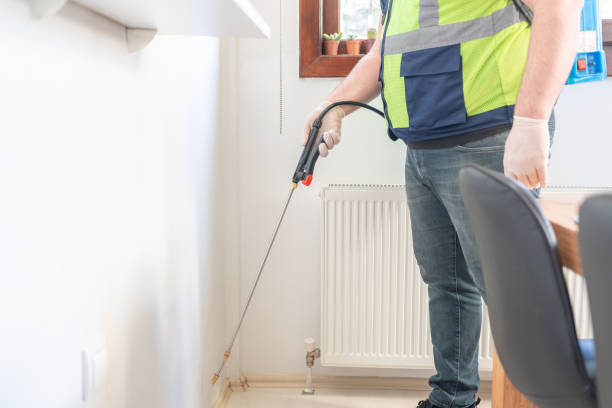 Best Exterminator Services  in Dupo, IL