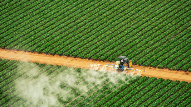 Best Pest Removal Services  in Dupo, IL
