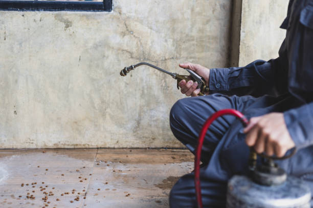 Best Best Pest Control Companies  in Dupo, IL